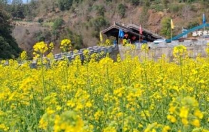 ʯ̶�Ŵ��L(f��ng)�⌍(sh��)�ģ�̎̎Ԋ(sh��)�鮋(hu��)��