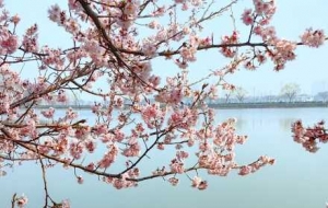 �x�^��p�����s���������(m��ng)���v��Ծ�