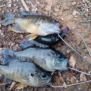 ��~(y��)�����飡���˺��h(yu��n)��ˎחl