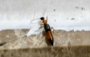 ����˲�Ҫ�Ĵ򣡶�Һ��������