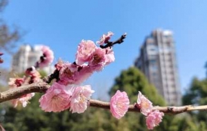 ���T�ڵĴ��գ����֙C������˲�g