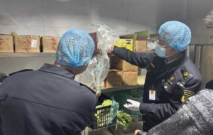 ��ꎶ�ҿ�͵걻�飡��Ƭ����