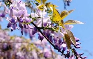 ����������ͣ��С�^(q��)�����ٻ�������