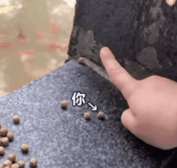 ���ů��ˣ�������������l(f��)�F(xi��n)���׷������ҋ�������