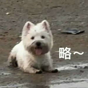 �賿3�c������f���l(f��)���ݣ��^ȥ5��С�r���������̌�(d��o)��9��С�r40���