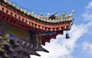 ��������3���Σ������L(f��ng)������ɫ��ʳ��ĺ�ֵ����