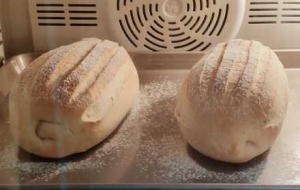 �z�^������ڼ��p��������������ζ