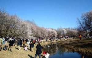 �����޶����ڱ������ˠ���ɽ�һ���