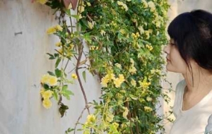 ꖹ����� ΢�L������ǳ��T���g�ĺÕr�C