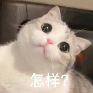 �@2�����з��a���N���Ԓ���aɽ����ۡ� ���_��