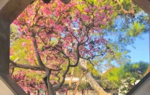 ���֙C�S����߅���£���Ҋ������