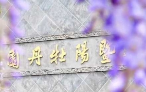 ����ʽ��ĵ���@���c��Ȼ��Ԓ�����`֮��