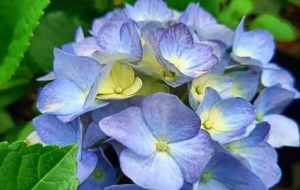 �C��ʢ�_���F�F�ش�չ���շҷ�