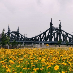 ����R���򻨺��k���箋����������