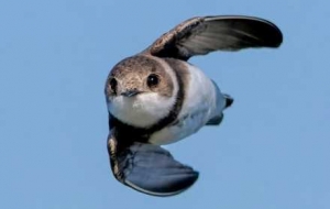 �ұ��S���ˣ��A�^�A�X��ɳ�೬�ȳ��R