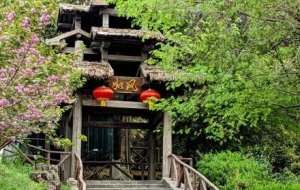 С���L�⣺Ұ�U���L�����������^�f���^