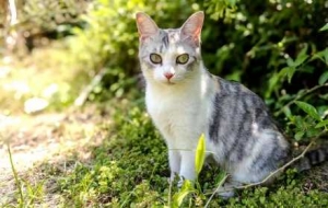 �z�Ѷ���˲�g��؈؈��ǧ�˰ّB������ȫ�_