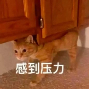 ��С������폈�ڣ��������������·�����ϴ�����˴�W�Űl�F�B���ζ������