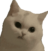 �ǳ������V�b�����շ������ޣ��������ϳГ��b���M����߀Ҫָ���b���L��