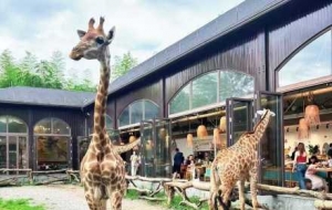 ɽ�g�ȼ٣��L�i¹�f�@���H�ӕr�⣡�c�Ȍ�����x