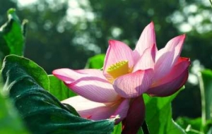 ���Ķ�����������������v�����G�������p���e��ζ