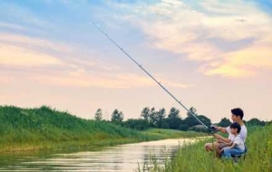 ����֪ͨ����ٷżٰ���