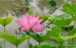 ���µĽ�ꎣ������¾G���`����Ӱ�uҷ