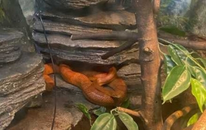 ����@���@Щ�����ֺ��ģ��ᵽ���l(f��)ҲҪ��