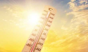 2022�꽭�"��"��ȫʡ��53���ߜ��Տ��ݵ��