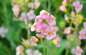 �R�^�µĻ��������������������޶��Ą�