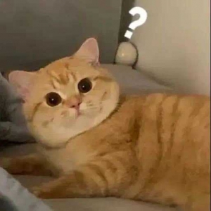 ����ͬˮƽ�����ѻ�����Խ�������ﲻƽ�⣬�����������Ĺ��r����ǲ����������� ...