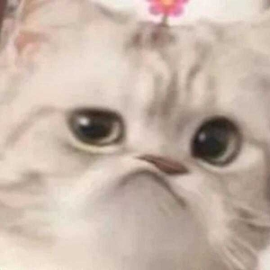 ���r�彨�O��ô�]��Ϣ�ˣ��Ϸ��ӎ�ʮ��]݆�����w����Ը����c�X��׌����yһҎ������ ...