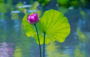 �ֵ�һ���p�ɕr���L(f��ng)�Ӻ��㣡һ�ۜS������������