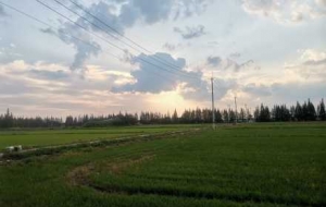 С�����r�⣺�T��H���L(f��ng)������һ·�L(f��ng)��