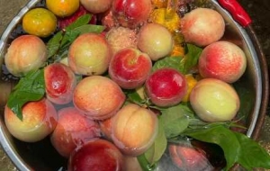 ����˲�g�������ɢ���@�Ǫ������յ������Y��