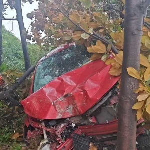 ���һ��(du��)��H����������܇(ch��)�_(k��i)���˘�(sh��)��