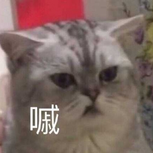 ��һ݅������������ʱ��l�Һ���ٍ�ö࣬�����p����Ͳ����@����