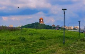 �R�^����ꎣ��{����ư����շՇ������M