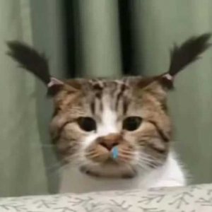 �ھƵꔂ���I��3�ܲˣ�������X���٣�ζ��Ҳ�]��ǰ�á�����Ҫ���ǲ�Ʒ�|���������� ...