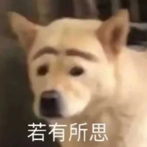 210�f�I����ݼ�W�^���������´�2��85ƽ���b���^�£�ȥ�WУ1��犣���֪��4����ܲ���ԭ ...