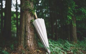 �ױ����L�����_��ꎣ�