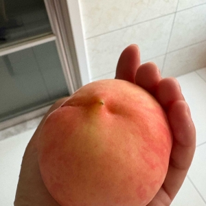 �F�ڴ�Ҷ����f�|���F���X����������·߅1Ԫ��ˮ���ұȺ��b�ɽ��߀��