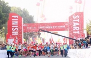 �����_���������������R11��9���_��