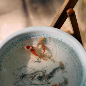 �^��30�q�r(sh��)�gһ���Ӻÿ죡���_ʼ�W(xu��)�B(y��ng)�~