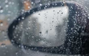 ��ꎚ���l(f��)���������Sɫ�A��