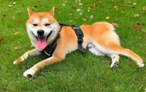 6:00AM�޹���������γɣ��L��o��ĳ��g�xʽ