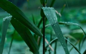 �S���ģ����@����ϴ���s���L�����