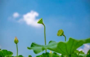 ���ճ�������һ݆���Ҹߜ؁�(l��i)��