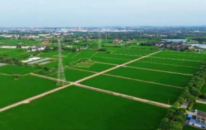 �����L�ϴ壺�r��Z��ʾ���^���MĿ������C��Ȼ