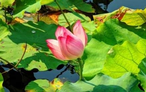 �W�ѵĻ����D�b���ļ��޶����ᣡ��Ҳ����ס��������